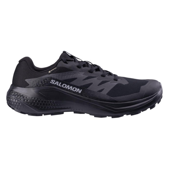 Męskie Buty do biegania w terenie SALOMON ALPHAGLIDE GTX L47802100, kolor czarny