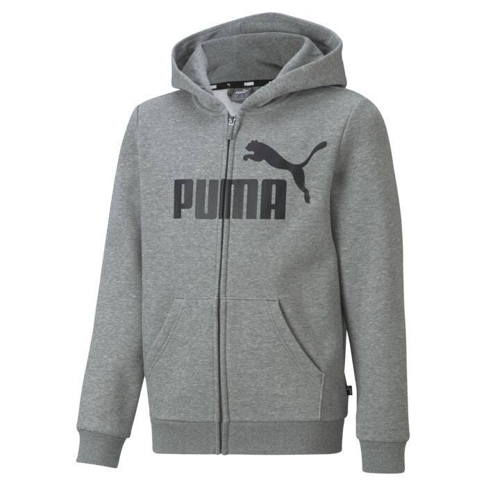 Dziecięca Bluza PUMA ESS BIG LOGO FZ HOODIE FL B 58696703, kolor szary