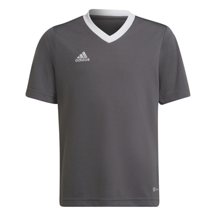 Gyermek Rövid ujjú ing ADIDAS ENT22 JSY Y H57499, szín szürke