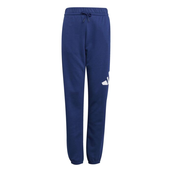 Dziecięce Spodnie ADIDAS J BL FT PT 280 JE1398, kolor granatowy