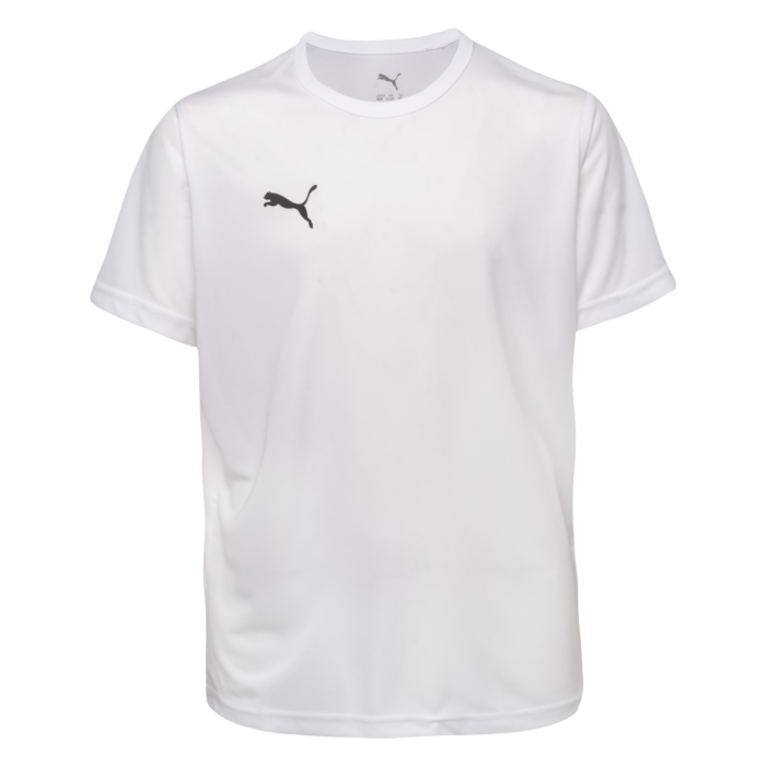Dziecięca Koszulka z krótkim rękawem PUMA TEAMRISE MATCHDAY JR 70628404, kolor biały