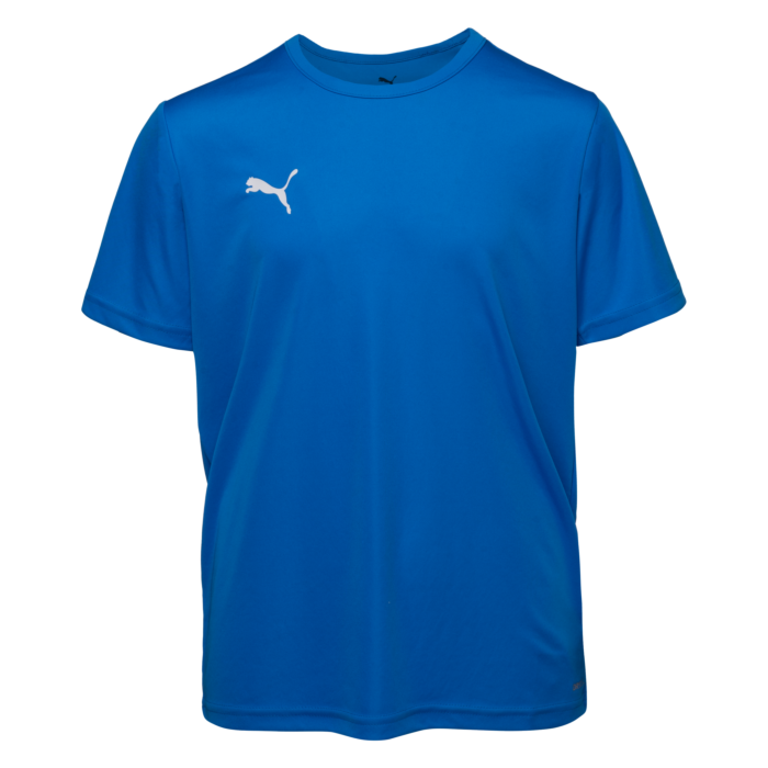 Dziecięca Koszulka z krótkim rękawem PUMA TEAMRISE MATCHDAY JR 70628402, kolor niebieski
