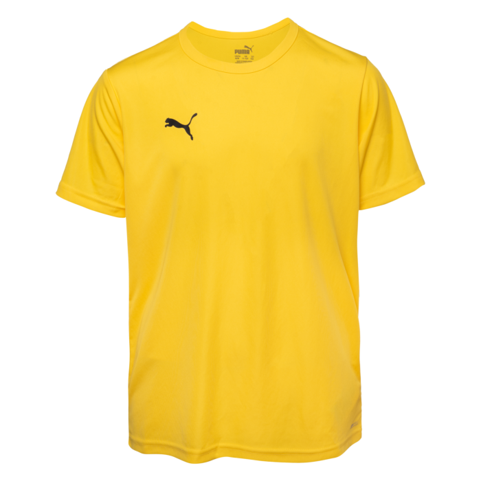Dziecięca Koszulka z krótkim rękawem PUMA TEAMRISE MATCHDAY JR 70628407, kolor Żółty