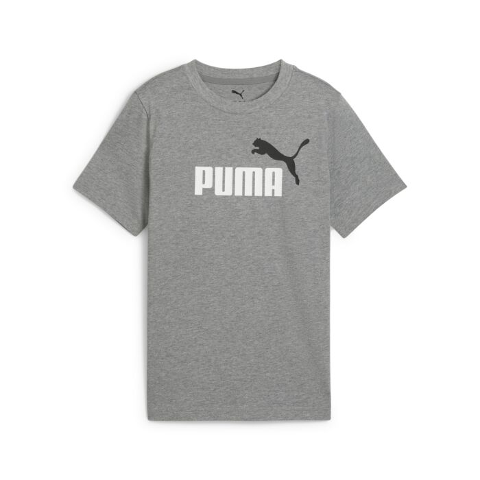 Dziecięca Koszulka z krótkim rękawem PUMA ESS 2 COLOR NO.1 LOGO TEE B 68577803, kolor szary
