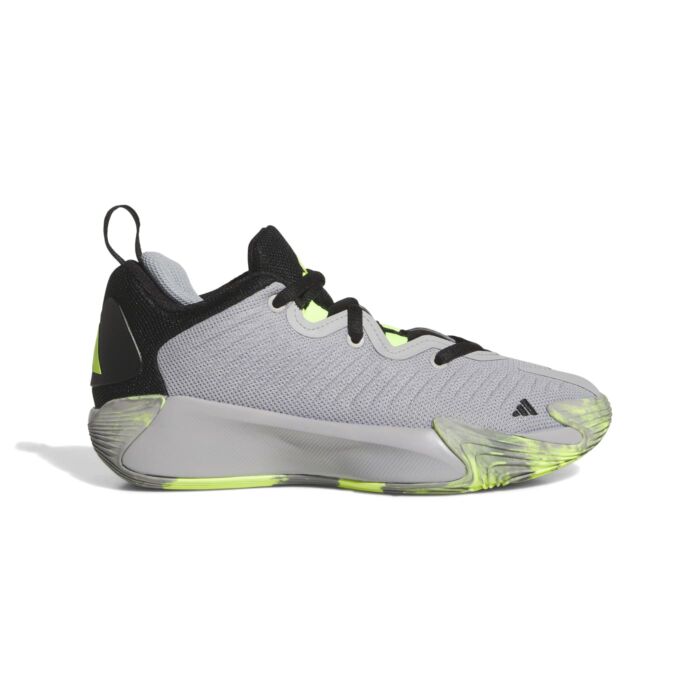 Dziecięce Buty ADIDAS ADIDAS INITIATION J JR9767, kolor szary