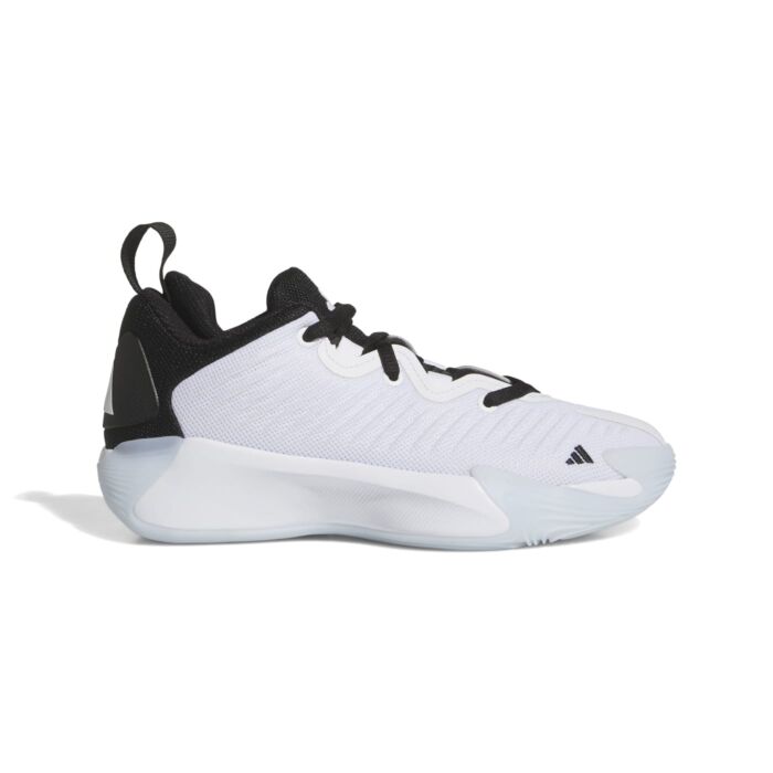 Dziecięce Buty ADIDAS ADIDAS INITIATION J JR9765, kolor biały