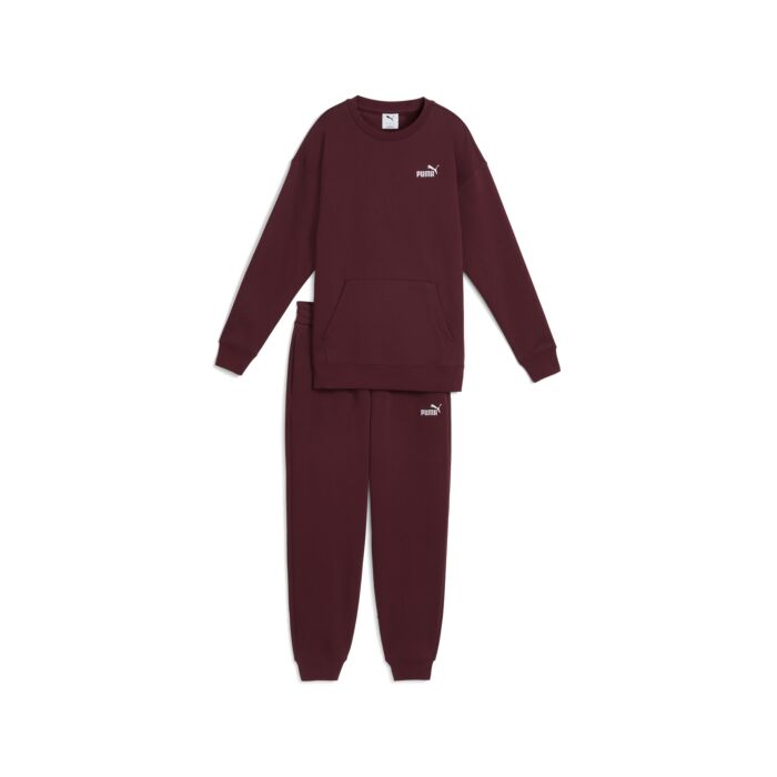 Damski Dres PUMA SWEAT SUIT RELAXED FL CL 68816096, kolor bordowy